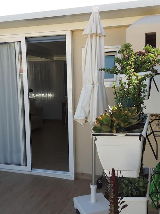 Vacanze Da Sogno 圣米格尔德阿沃纳 外观 照片
